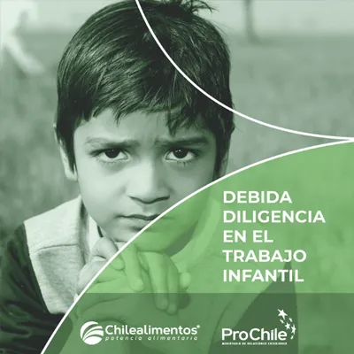 portada-debida-diligencia-infantil Portada Debida Diligencia