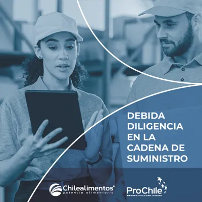 portada-debida-diligencia-suministro Portada Debida Diligencia en la Cadena de Suministro