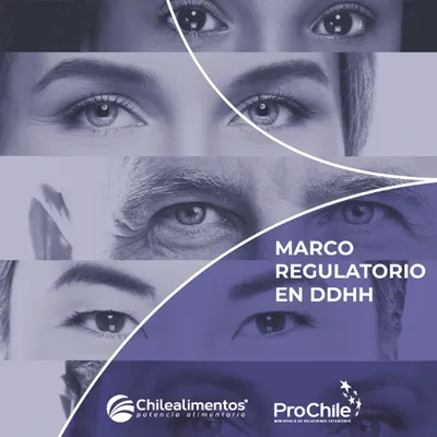 portada-marco-regulatorio-ddhh Portada Marco Regulatorio en DDHH
