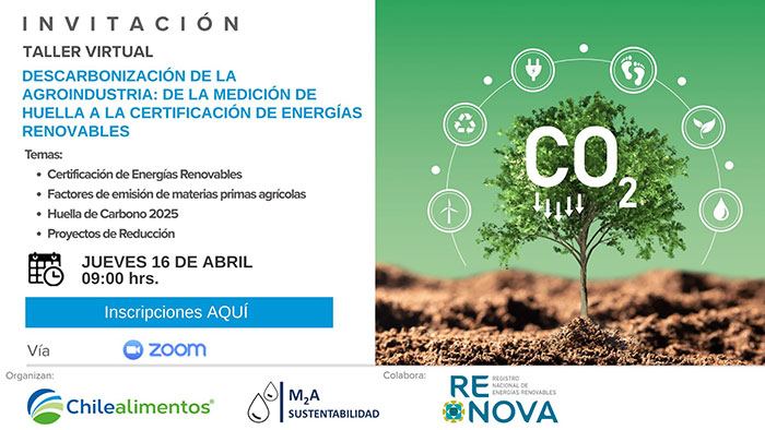 Taller de Descarbonización